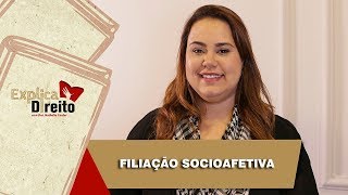 Explica Direito Filiação Socioafetiva  2019 [upl. by Yrtnahc534]