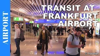 TRANSIT WALK AT FRANKFURT Airport FRA Terminal 1  Connection Flight Transfer Arriving amp Departing [upl. by Adlih]